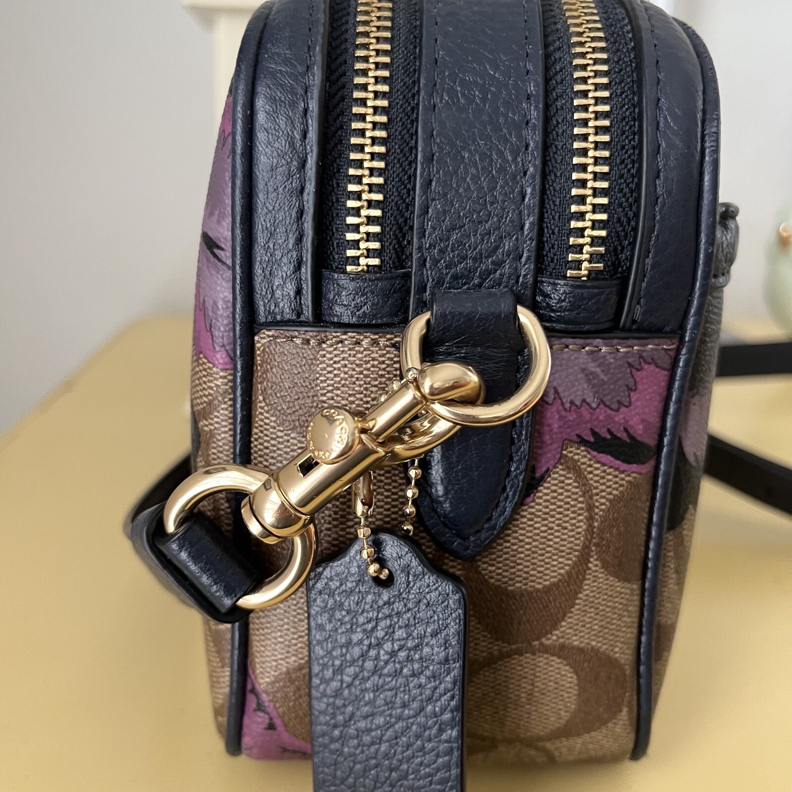 Coach Jes Crossbody In Signature Canvas With Kaffe Fa… Gem