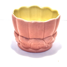 Thrifty Old Texans | eBay Stores