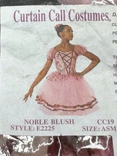 CURTAIN CALL COSTUME Adult Tween Small Dance Pink Maroon Floral Full Tulle  Bag