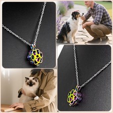 Rainbow Paw Print Heart Pet Ashes Memorial Necklace with Inner Box For Dog Cat