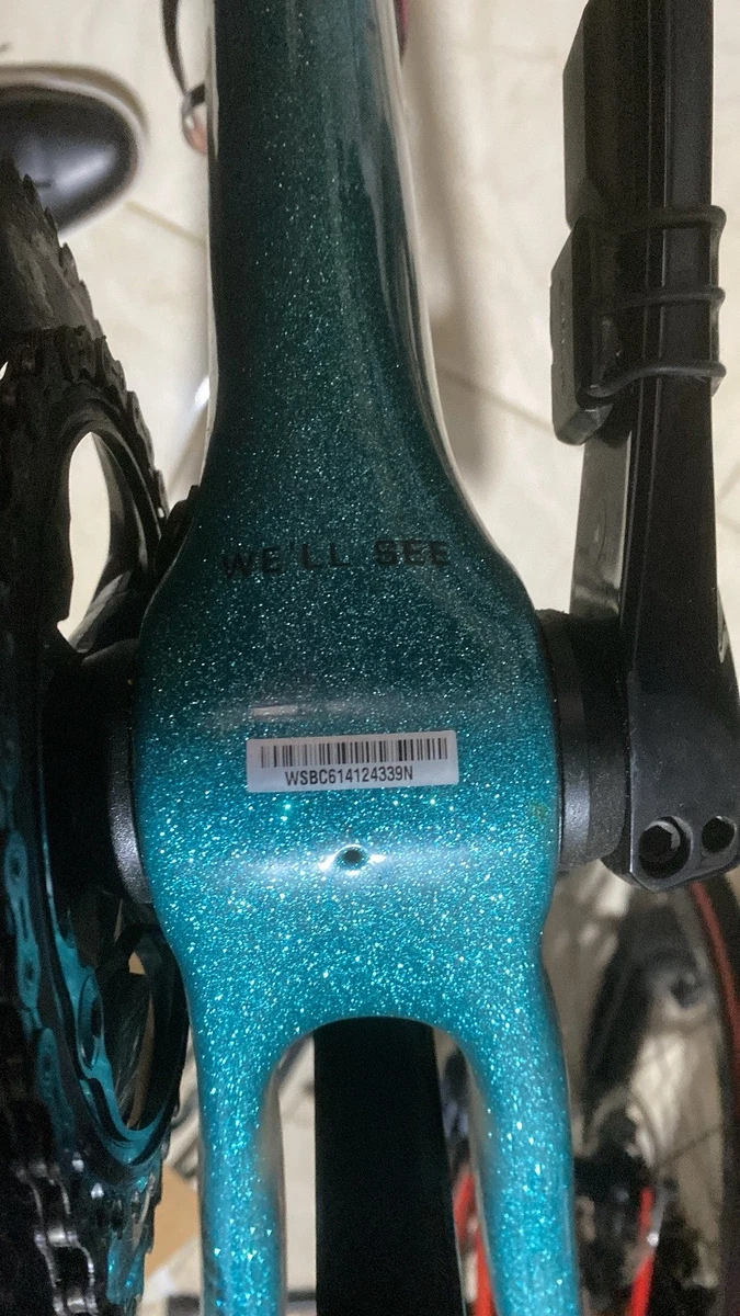 Specialized S-works venge vias Disc from the collection Peter