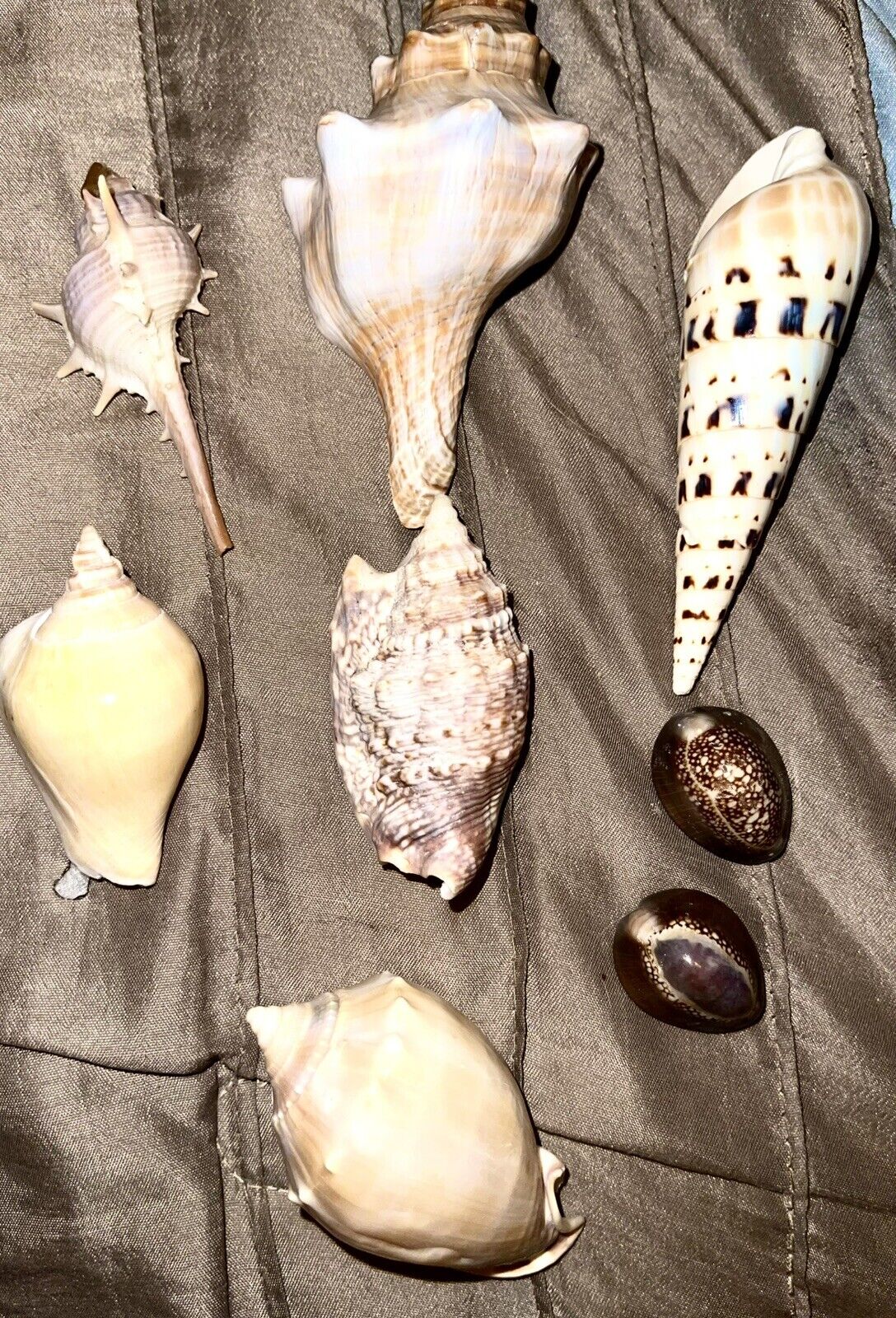Picture 3 of 5