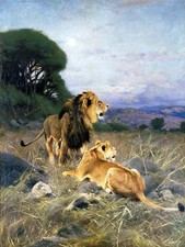 Africa Animals Lion by W. Spielende Tile Mural Kitchen Wall Backsplash Ceramic