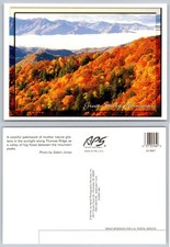 Great Smoky Mountains Thomas Ridge Autumn Fog Postcard APS Adam Jones NC