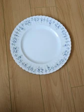 Royal Albert Memory Lane Dinner Plate(s) 10 1/2"