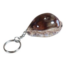 Cowrie Seashell Keychain 3" Natural Ocean Shell Souvenir Gift T11