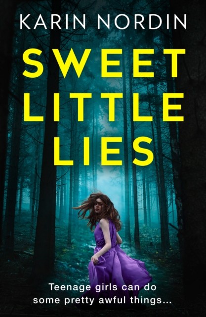 Sweet Little Lies by Karin Nordin (Paperback Book)