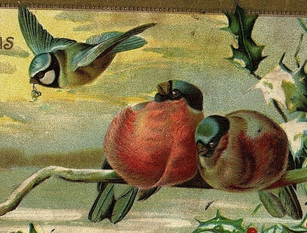 1907-15 Postcard Christmas Birds Wishes Best Holly Vtg Bird Embossed Gilt Edge | eBay 1907-15 Postcard Christmas Birds Wishes Best Holly Vtg Bird Embossed Gilt Edge | eBay