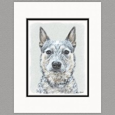 Australian Cattle Dog Original Art Print 8x10 Matted to 11x14