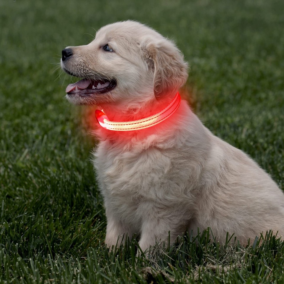 Light Up Dog Collar for Small Dogs Rechargeable LED Dog Collar