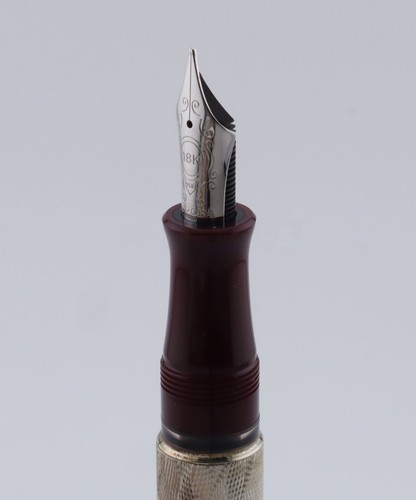 Pluma Estilográfica Aurora 80 Aniversario Plata Esterlina Guilloche 18K M Plumín - Imagen 17 de 24