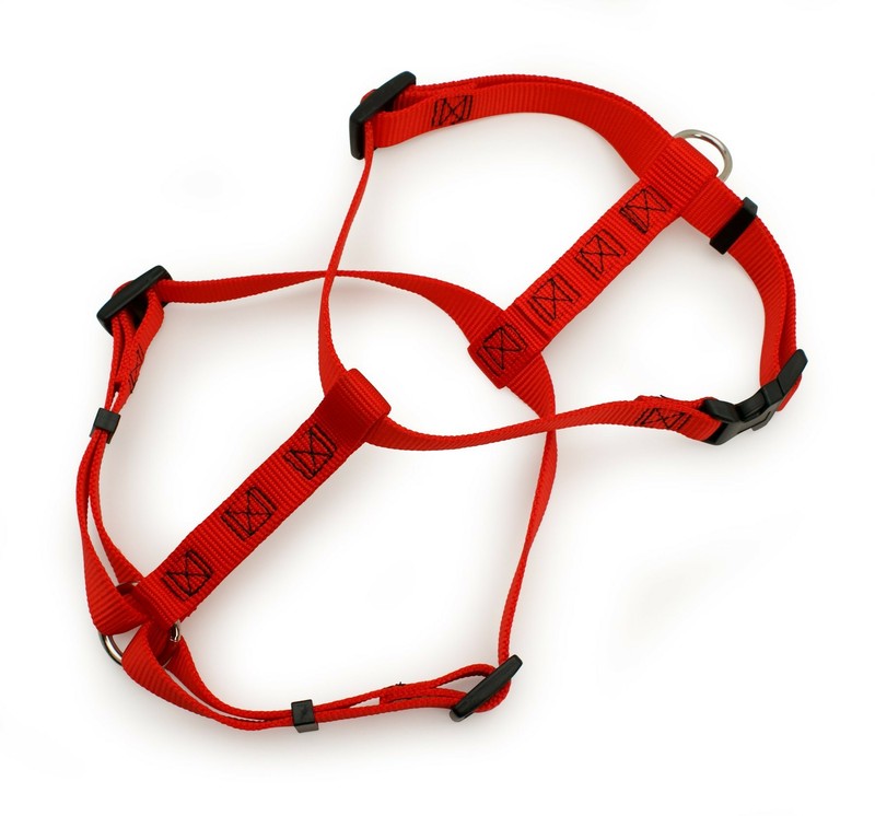 Doskocil Aspen Pet Products Adjustable NYL Harness, Red, 28-36" x 1"