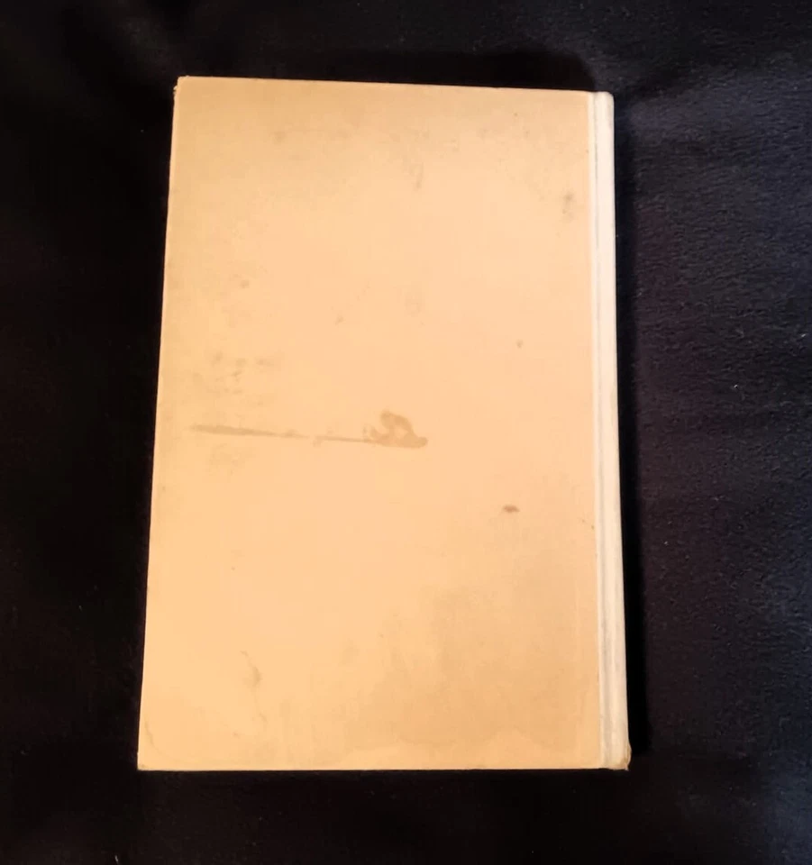 Andrea  Cavalli Dell'Ara - Lalla Lolli Studentessa - Baldini & Castoldi - Immagine 4 di 4