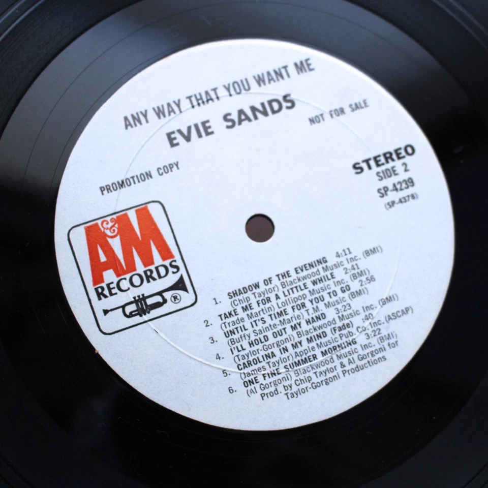 ORIGINAL 1970 PROMO EVIE SANDS FOLK PSYCH MASTERPIECE ALBUM VINYL LP VERY RARE Foto 3 de 4