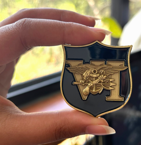USN DEVGRU Special Warfare SEAL Team 6 Gold Squadron Challenge Coin ZZ ...