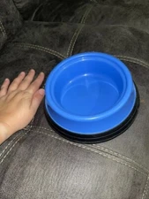 Blue Cat Water/Food Bowl