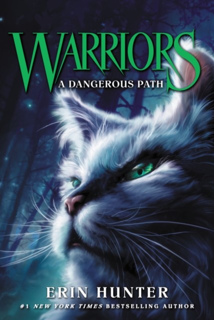 Warriors #5: A Dangerous Path by Erin Hunter (Paperback Book)