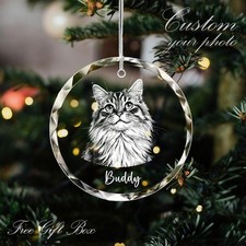 Personalized Cat Glass Ornament ,Dog Lover Gift, Cat Memorial Gift, Pet