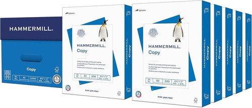 Bulk 20 lb Copy Paper, 8.5x11, 5000 Sheets, Smooth Finish - Perfect for Offices - Picture 3 of 8