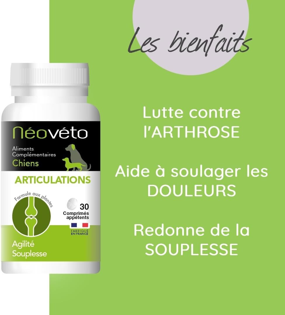 Comprimés arthrose pour chiens aux extraits naturels boîte de 90 pilules - 2