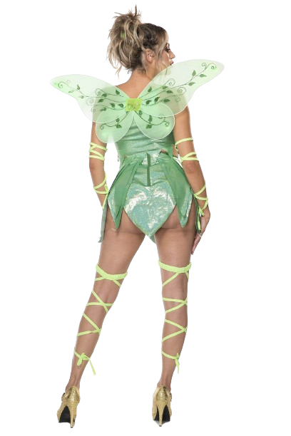 6 PC. Ladies Fantasy Fairy Costume Set | eBay 6 PC. Ladies Fantasy Fairy Costume Set | eBay
