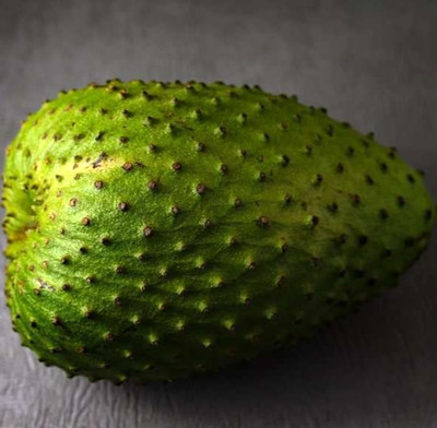 100+ Guanabana Blanca Soursop Seedss (Annona muricata) Sweet Soursop