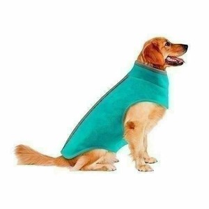 friends forever dog jacket