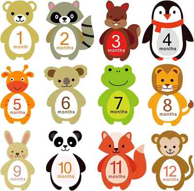 First Year Milestone Monthly Stickers, Newborn Baby 1-12 Months Photo Props Bab