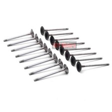 16x Engine Inlet Outlet Valves Set For Bmw Cooper S B46 B48 2.0t F30 F32 F55 F56