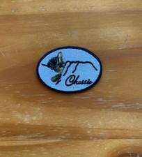 Chessie the Railroad Kitten Oval Iron On Patc...