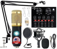 Microfono Condensador De Estudio Profesional Para PC Youtubers Podcast Streaming