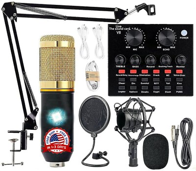 Microfono Condensador De Estudio Profesional Para PC Youtubers Podcast Streaming