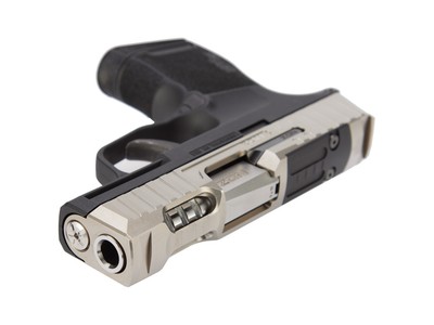 NDZ Sig P365 P365X 3.1