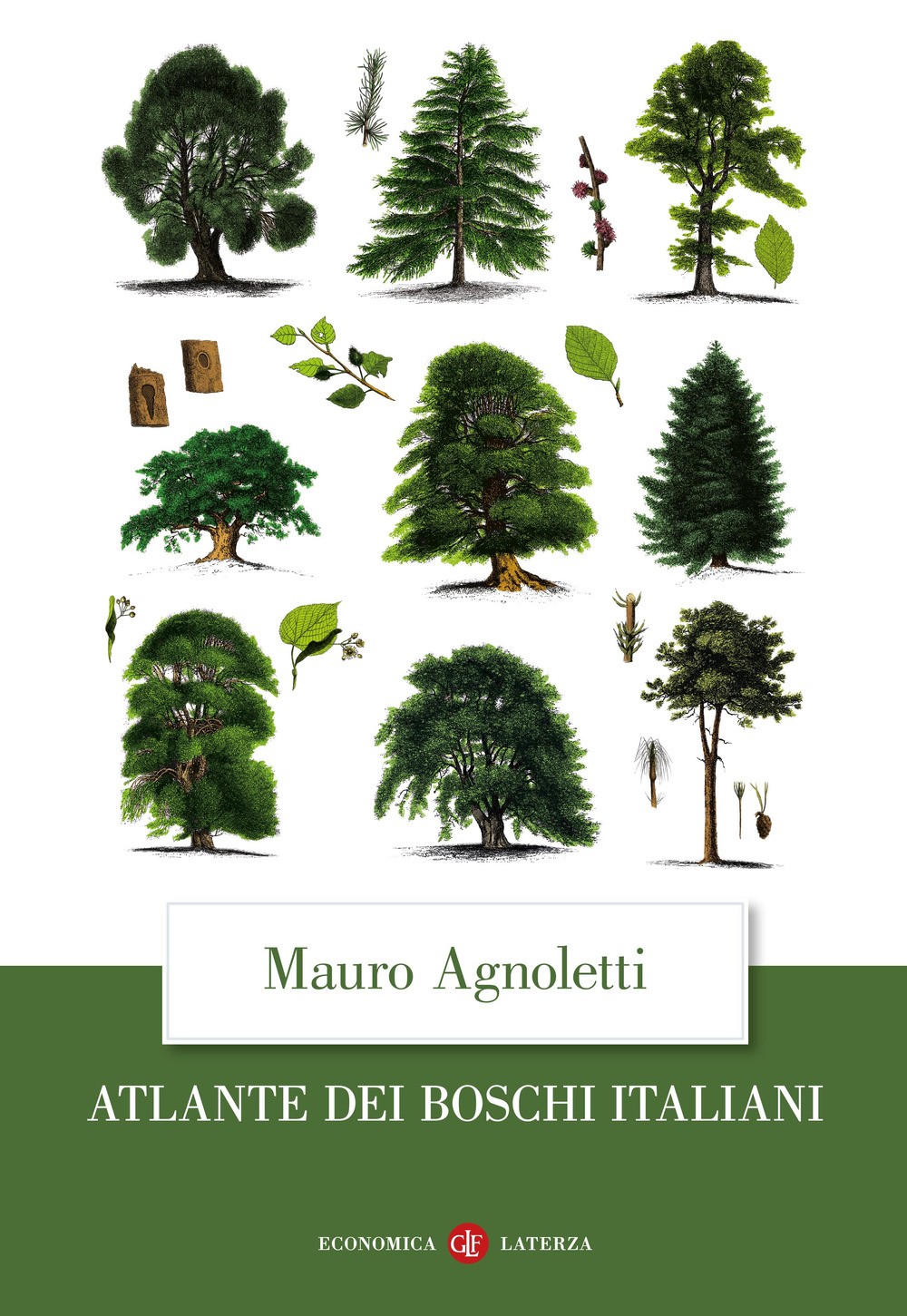 Libri Mauro Agnoletti - Atlante Dei Boschi Italiani - Immagine 4