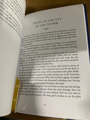 Angels All Around (True Stories of Angel Encounters Hallmark Lynn Valentine Book - Foto 5 di 5