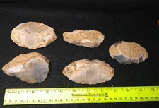 Lot Of 5 Native American Archaic Indian Tool Artifacts #TB04