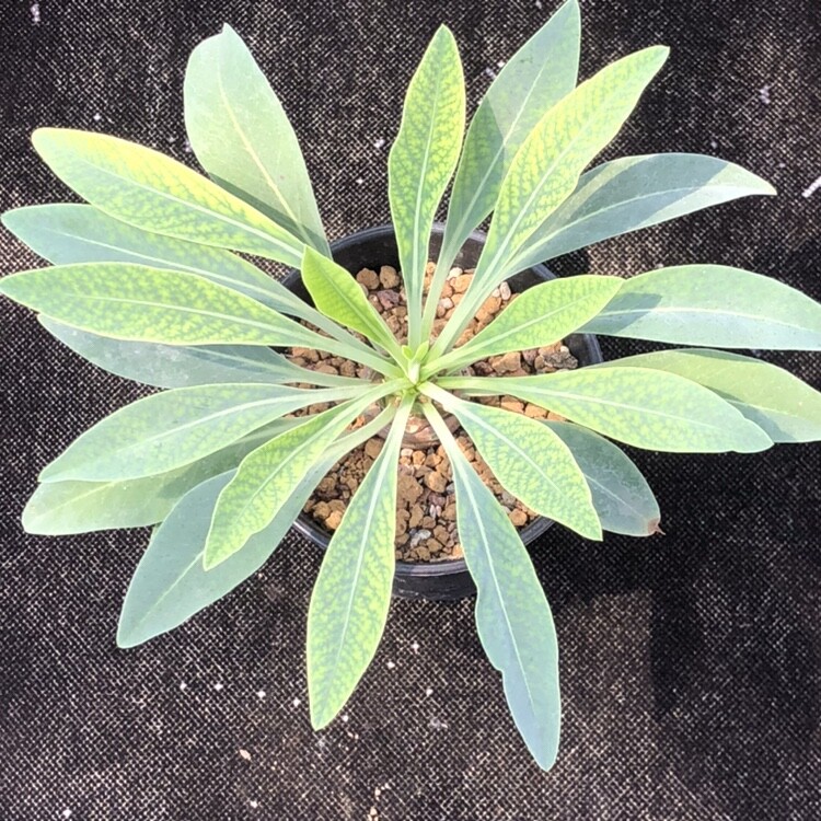 Picture 12 of 14