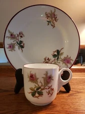 Sampson & Bridgwood & son Rose Floral w/Burgundy trim Salad Plate & Demi Cup