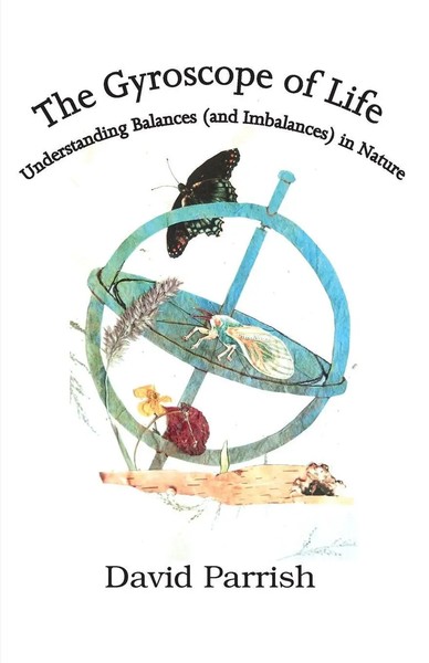 David Parrish | The Gyroscope Of Life | Taschenbuch | Englisch (2020)-image