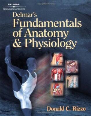 Delmars Fundamentals of Anatomy and Physiology - Paperback - GOOD