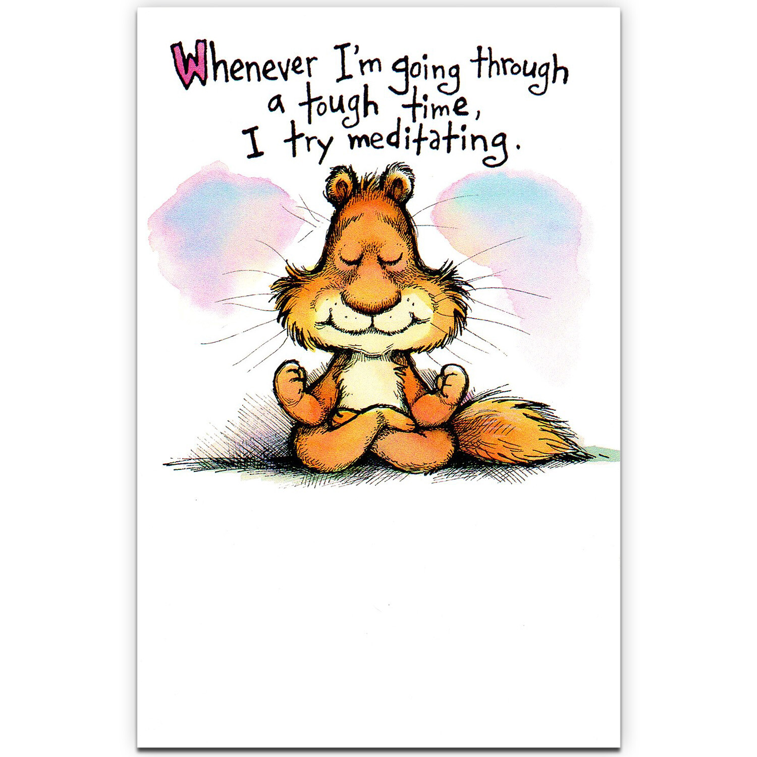Funny ENCOURAGEMENT Card by American Greetings, Meditating Cat + Envelope eBay