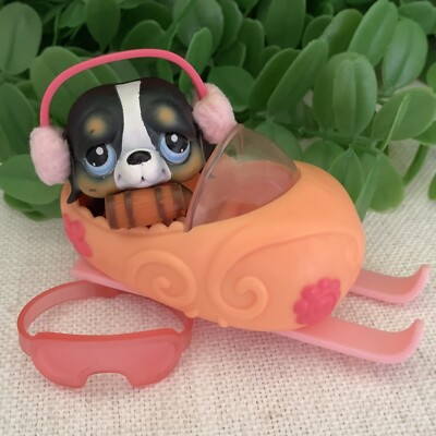   Littlest Pet Shop LPS #145 Berner Senner St Bernard Dog & Accessories