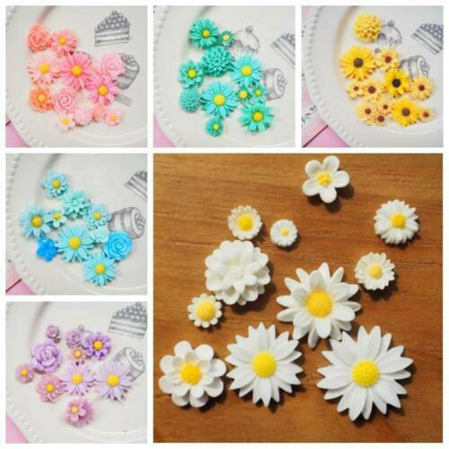 Boutons I-TOP Imaginisce – Poignées Roses Brad & More Maker