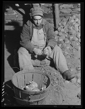 Portsmouth Rhode Island John Botello 1940s Farm Worker Cleaning Turnips