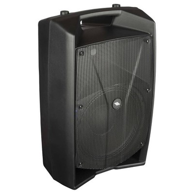 PROEL V12Pro aktiv PA-Lautsprecher 300Watt/12Zoll