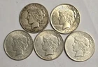 5 Peace Silver Dollars - Lot SK05