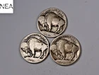 1913+1913-D+1913-S Buffalo Nickel Set/Lot ~ Type 1 ~ ZBL34
