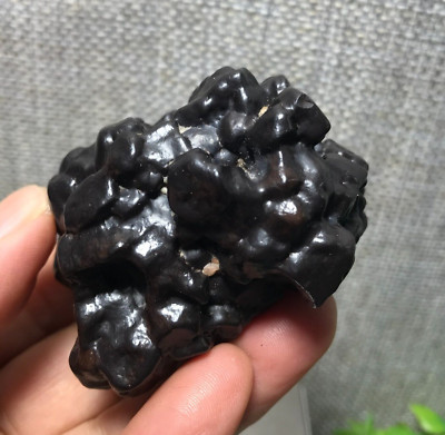 134g Egypt desert stone black king kong Pinecone Prophecy stone 21