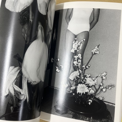 Nobuyoshi Araki "Erotos" mit Obi - Bild 10 von 13