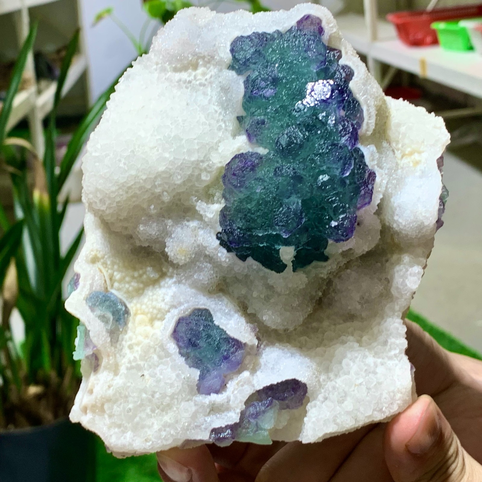 1.9LB Rare Blue Green Purple Cubic Fluorite Crystal Specimen from Zhejiang